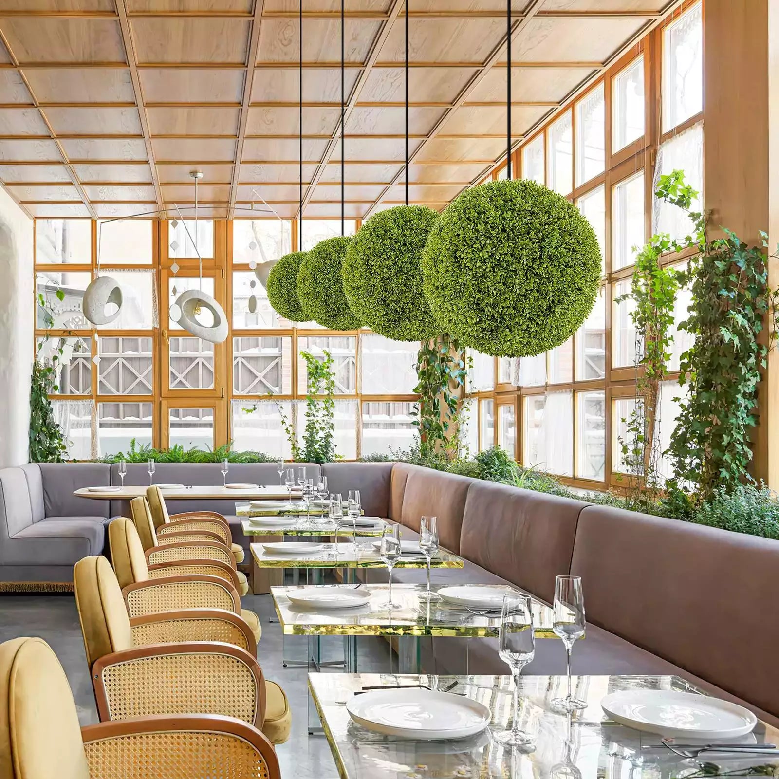 1+1 GRATIS | GreenSphere – Immergrüner Charme für Haus & Garten