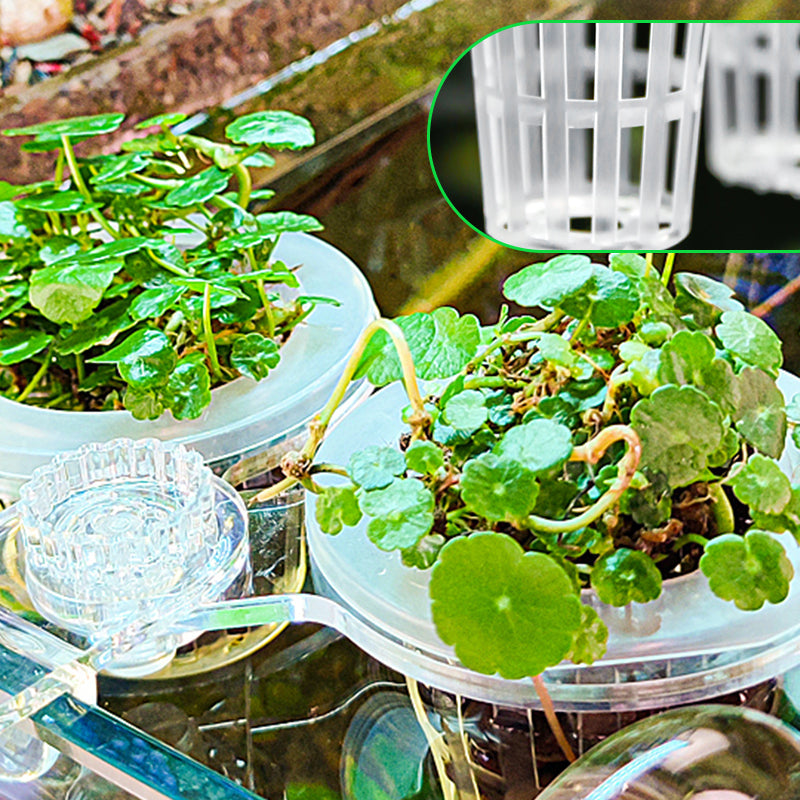 1+1 GRATIS | HydroScope – Wurzelüberwachung leicht gemacht