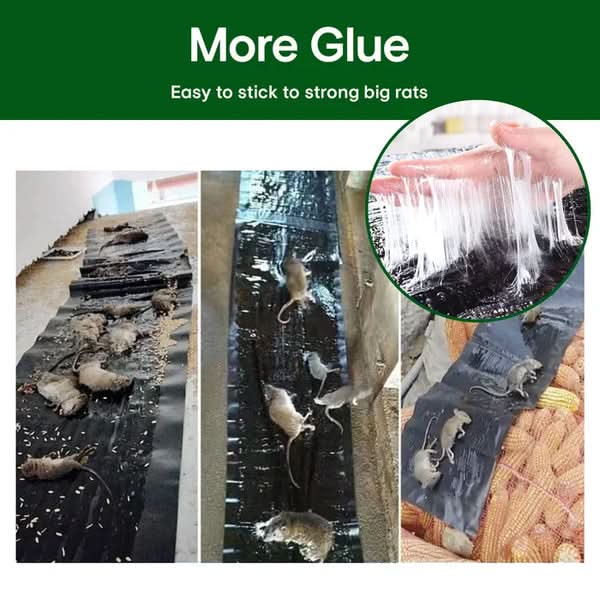 Ratten-Stickyfalle – Extra starke Haftung für sichere Schädlingsbekämpfung