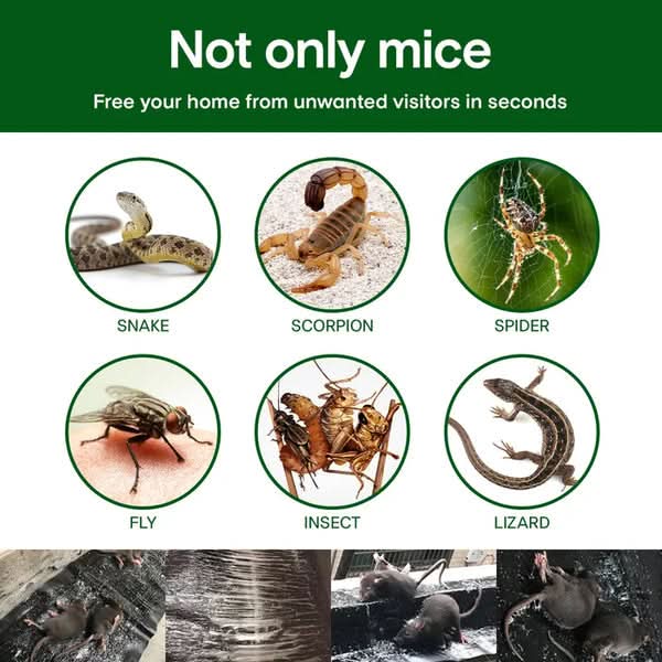 Ratten-Stickyfalle – Extra starke Haftung für sichere Schädlingsbekämpfung