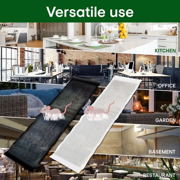 Ratten-Stickyfalle – Extra starke Haftung für sichere Schädlingsbekämpfung