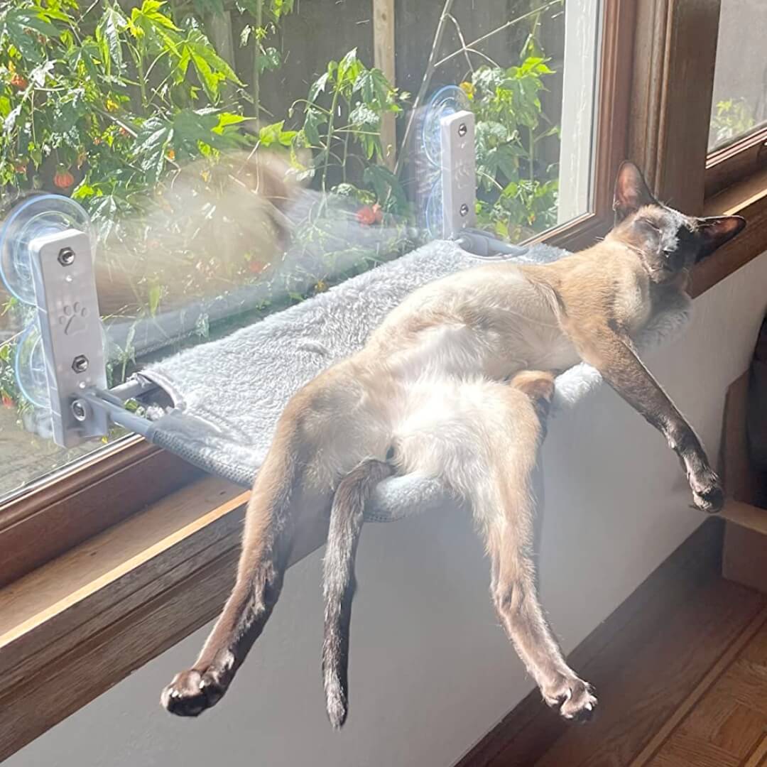 KatzeHängematte - Die ultimative Katzenhängematte für Ihre Katze zu Hause | 50% RABATT