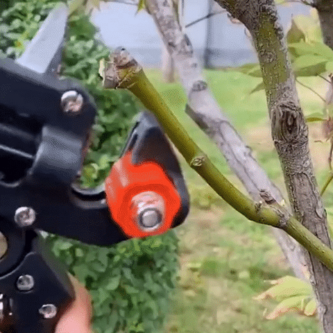 Professionelles Veredelungswerkzeug | Klonen Sie endlos Ihren Lieblingsgartenbaum!