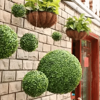 DecoPlant - Diese Pflanze ist immer grün!