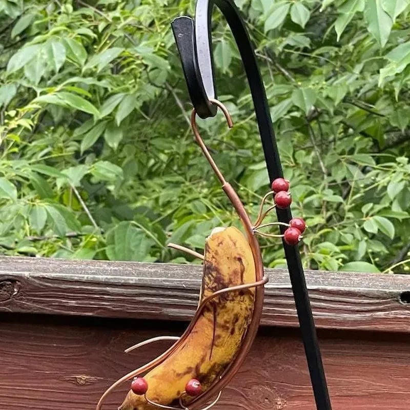 1+1 GRATIS | Schmetterlings-Bananenhalter – Natürliche Anziehungskraft