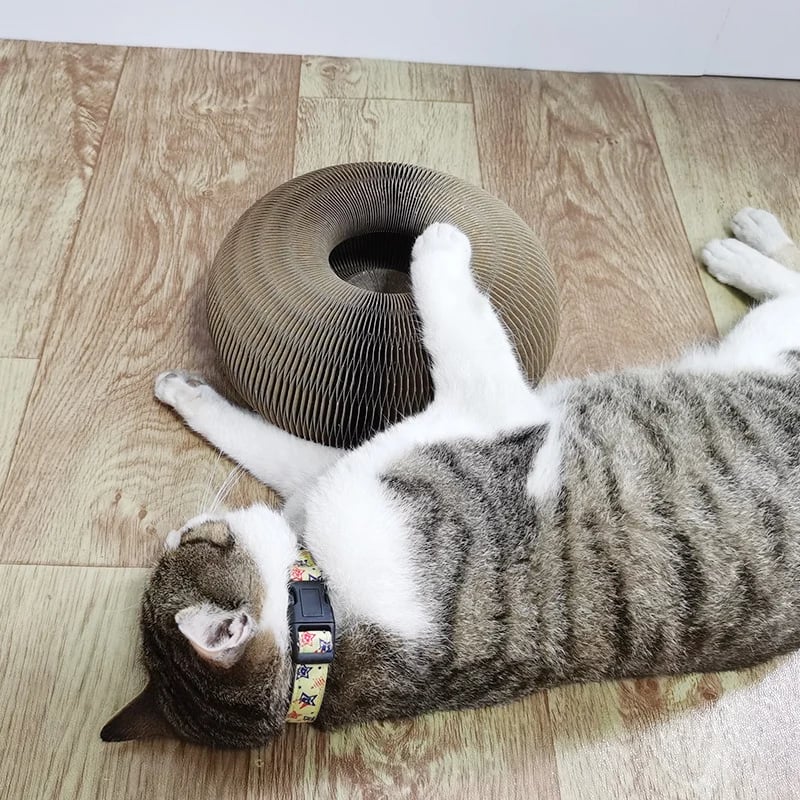 PurrFlex™ - Kratzbaum für Katzen