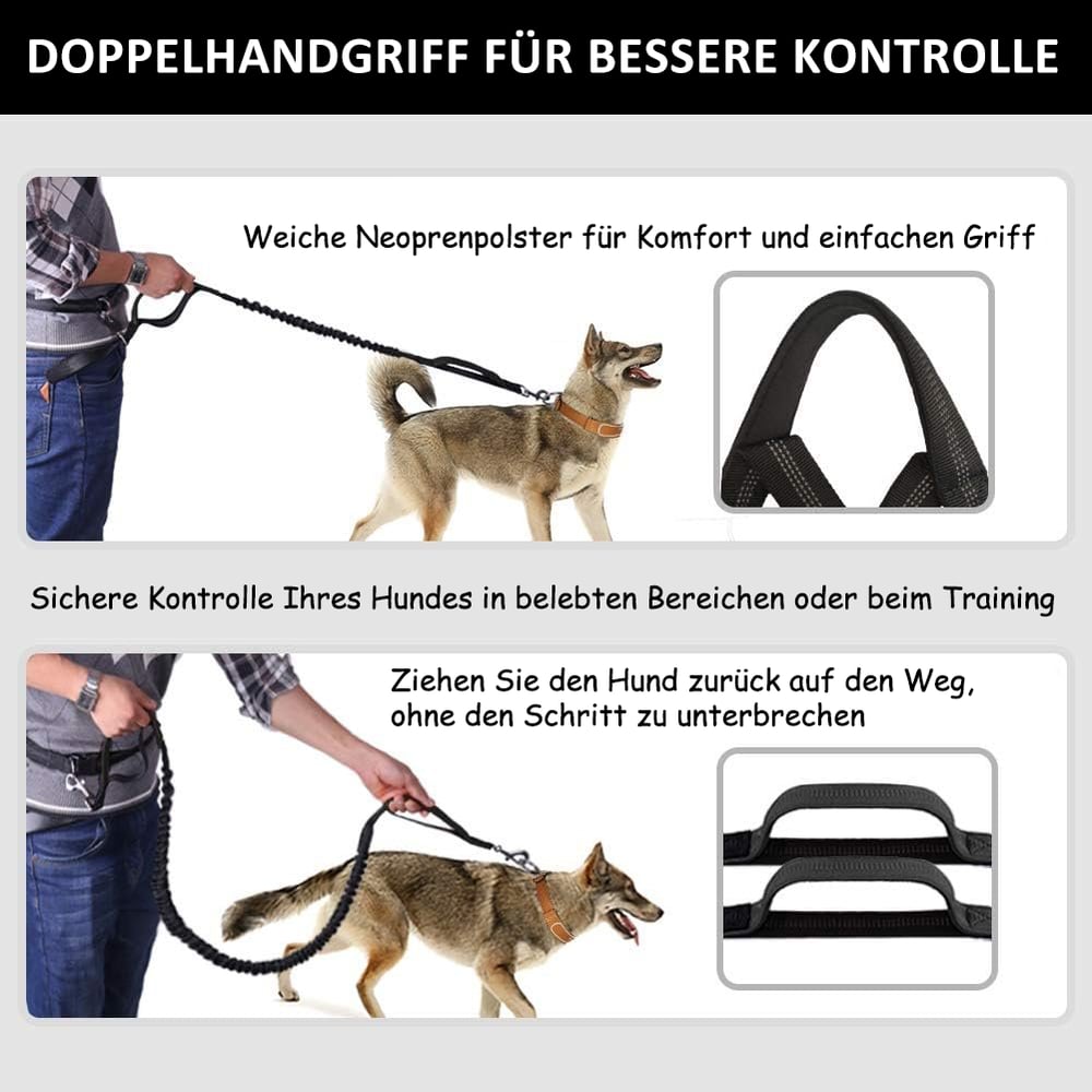 Verstellbare Hundeleine mit integrierter Tasche – Für mehr Komfort und Sicherheit beim Gehen