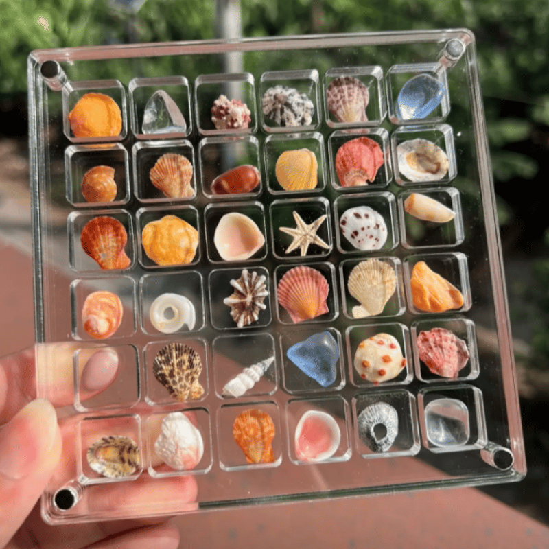 ShellGlo™ - Acryl Magnet Muschel Aufbewahrungsbox