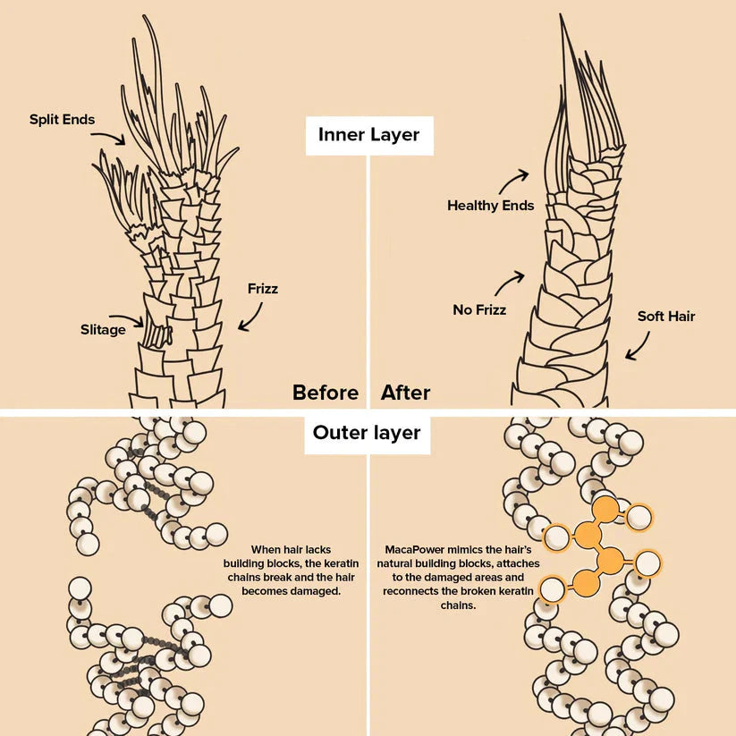 1 + 1 GRATIS HEUTE | Tressence™
