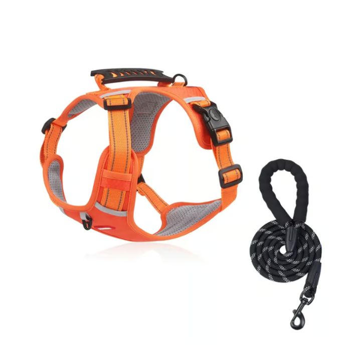No-Pull Hundegeschirr mit Reflektierendem Nylon