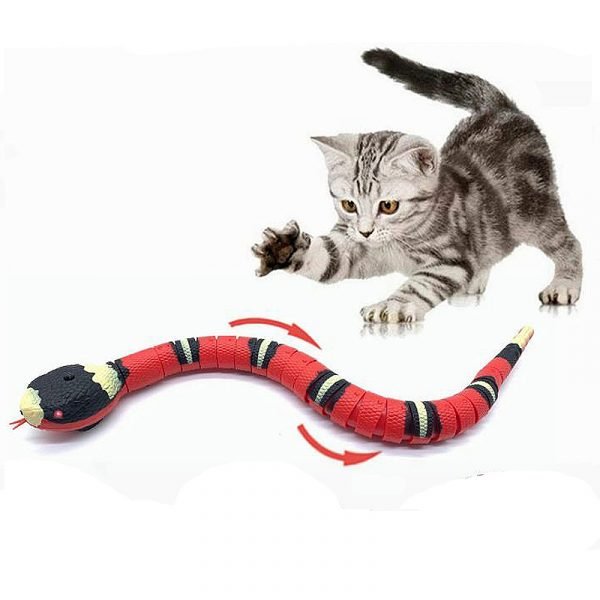 Smart Snake™ - Unendlicher Spielspaß für Ihr Haustier!