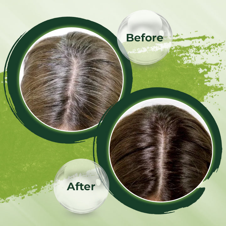 ColorViva - Shampoo-Bar |  1+1 GRATIS