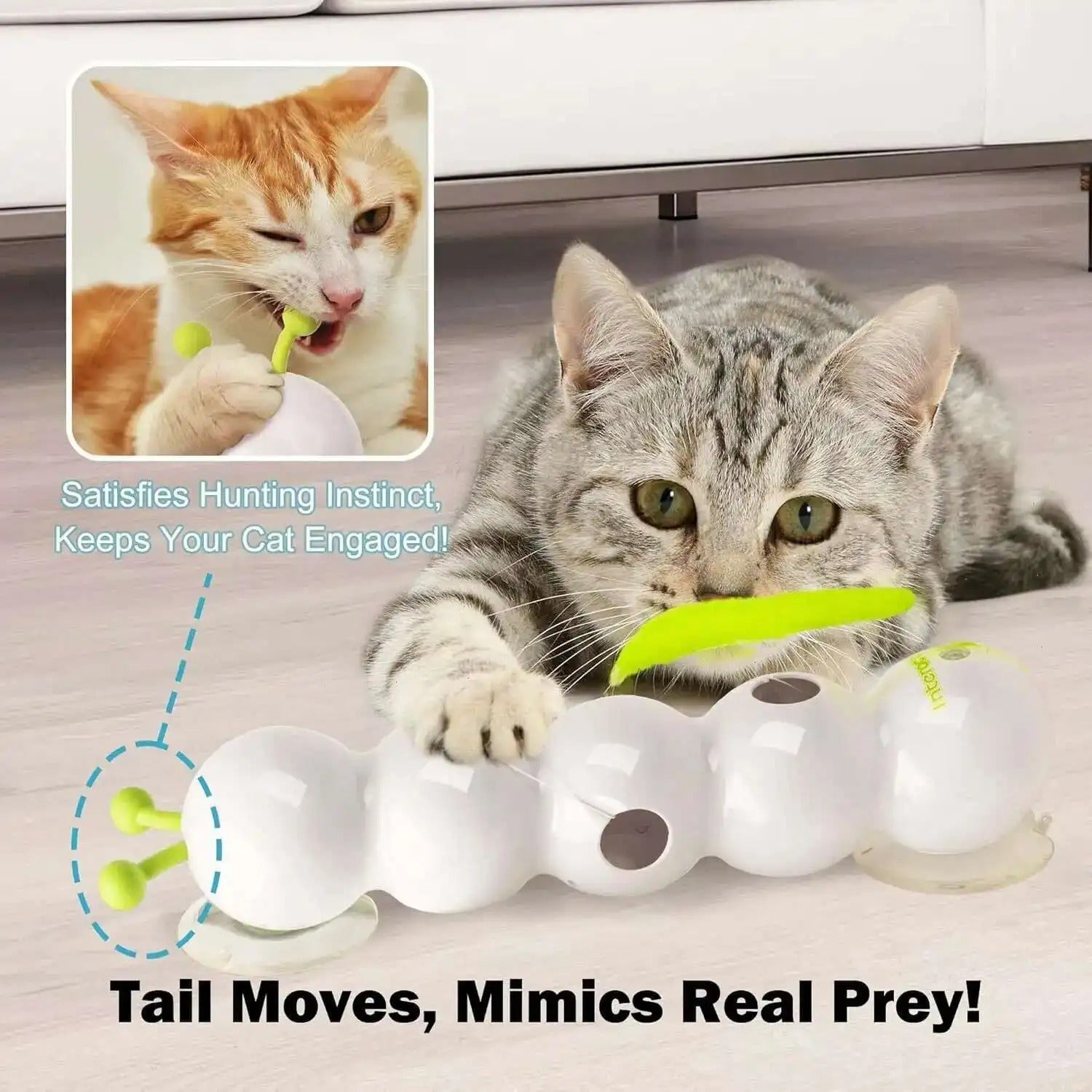 ThrillPlay™ – Entfache die wilden Instinkte deiner Katze für endlose Energie und Spaß
