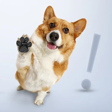 PawSafe - 4 Stück SAnti-Rutsch-Schutz-Aufkleber | 50% RABATT