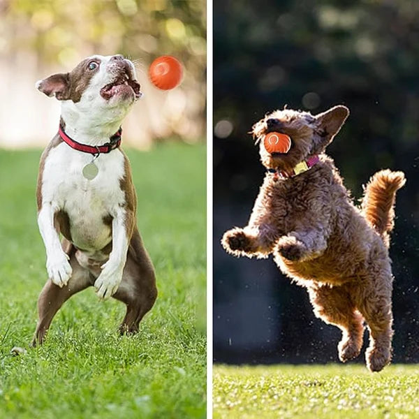 PupPlay™ - Automatischer Smart Teasing Hundeball (50% RABATT)