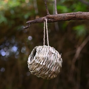NestHaven – Biete Kolibris ein sicheres Zuhause für jedes Jahr