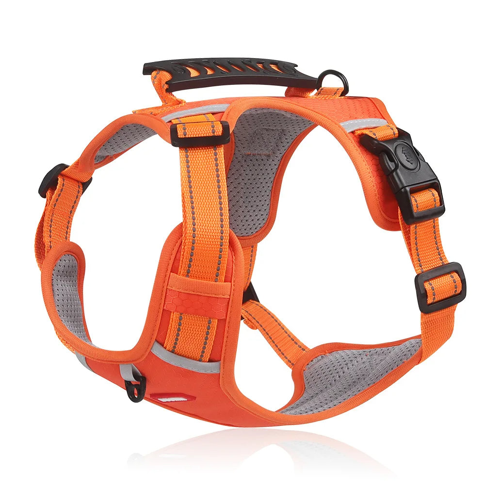PawSecure - Anti-Zug-Hundegeschirr | 50% RABATT