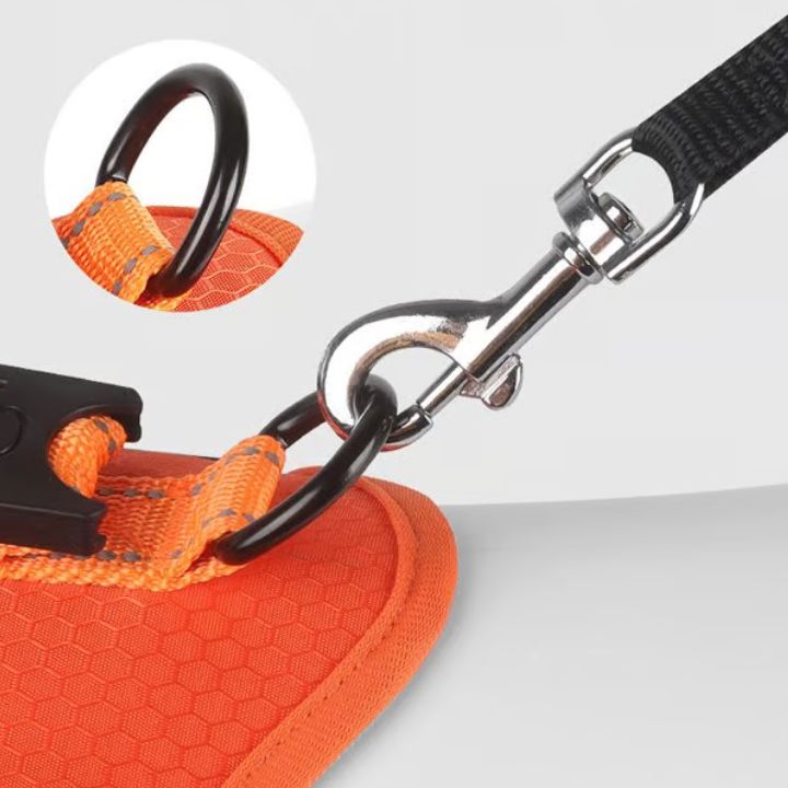No-Pull Hundegeschirr mit Reflektierendem Nylon