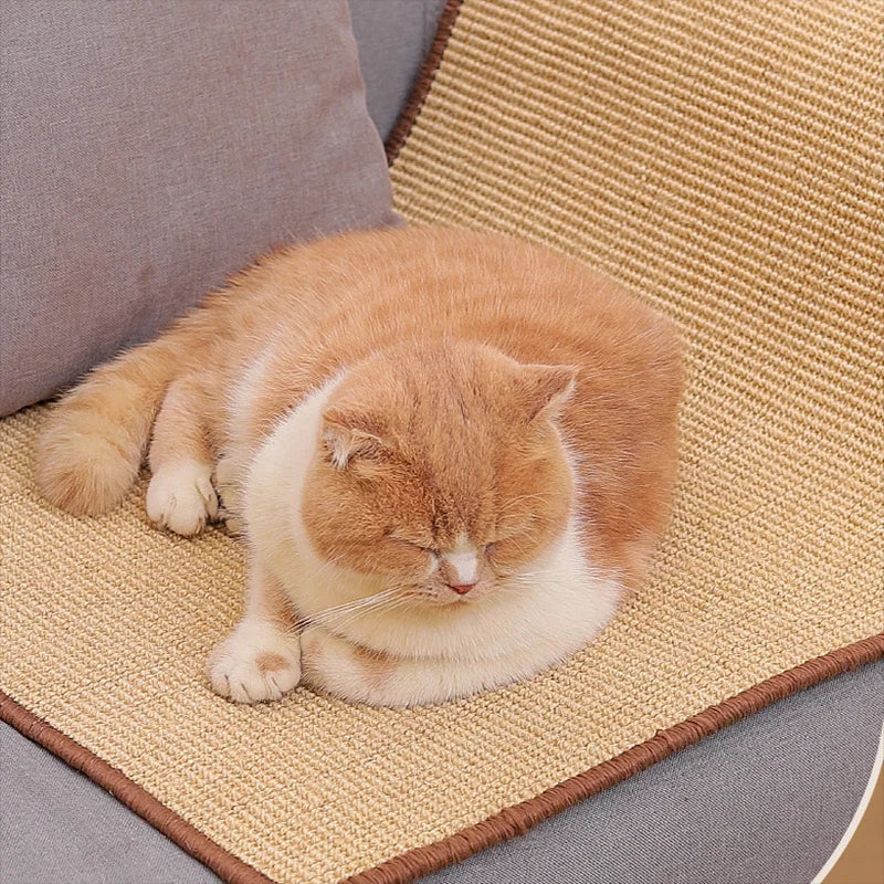 Scratchy™ – Der perfekte Kratzspaß für deine Katze und deine Möbel!