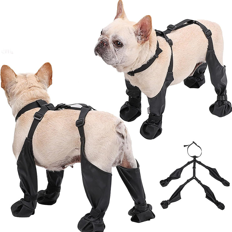 PawGuard - Sichere und komfortable Pfoten | 1+1 GRATIS