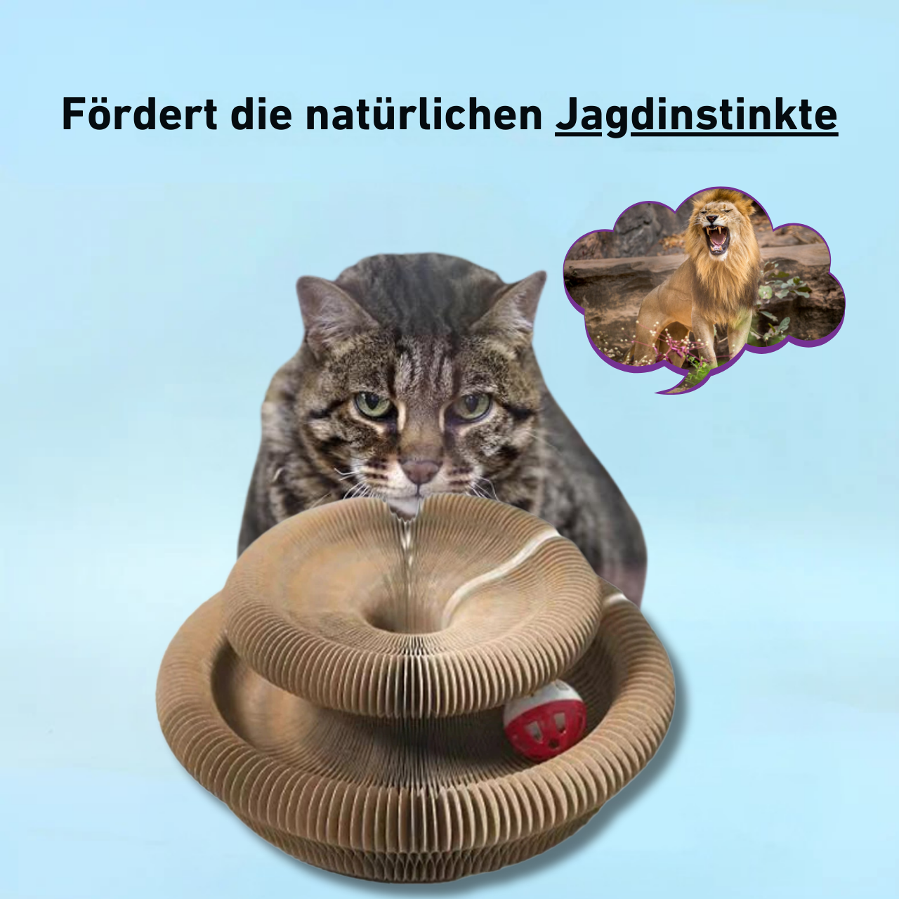 PouncePlay™ - Kratzspielzeug mit Glöckchenball