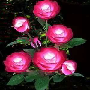 RoseGlow – Romantische Gartenbeleuchtung ganz ohne Strom