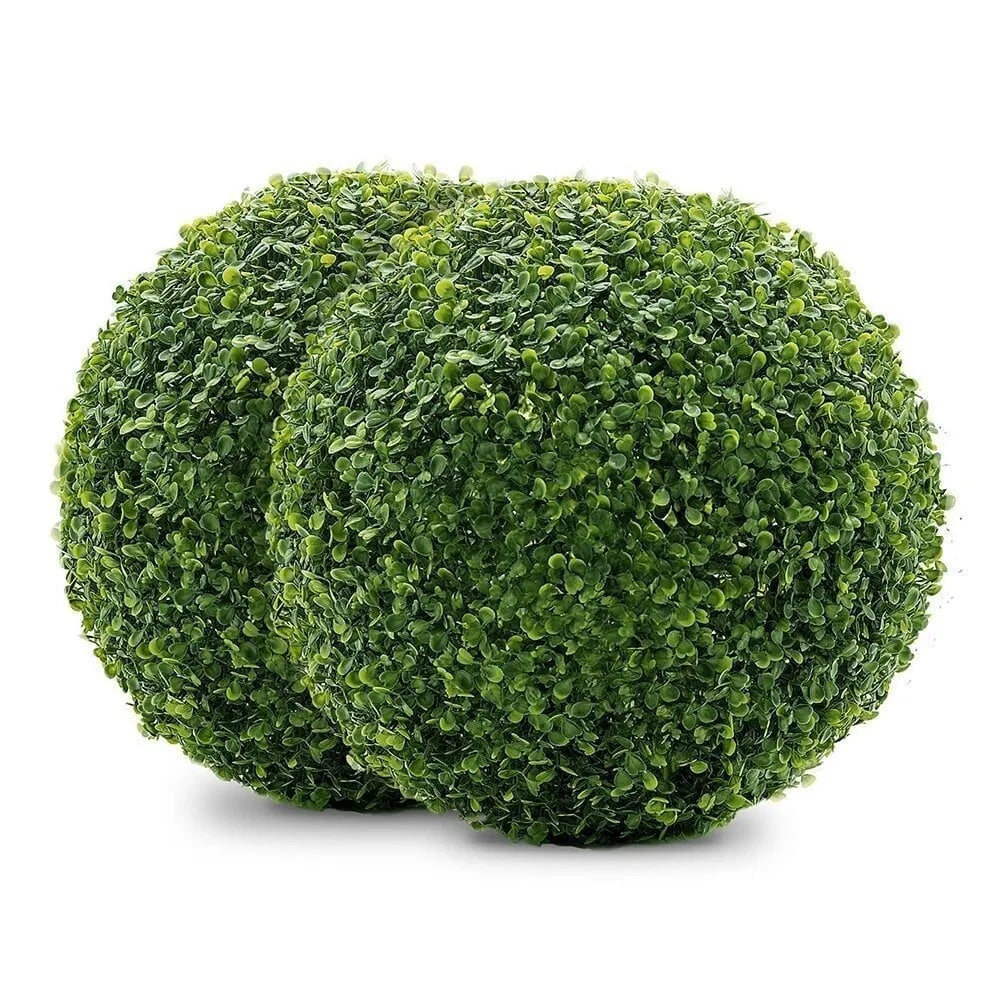 DecoPlant - Diese Pflanze ist immer grün!