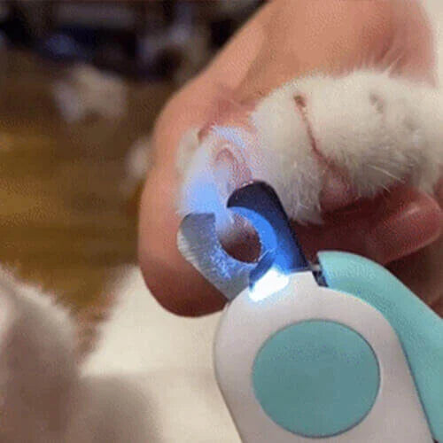 LightPaws™ – Stressfreie Fellpflege für glückliche, ruhige Haustiere jedes Mal