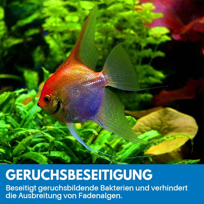 1+1 Gratis | Reinigungspulver Für Aquarium™