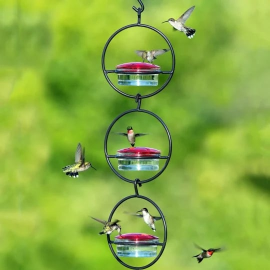 1+1 Gratis | Feedaura™ Schlanker Kolibrifütterer