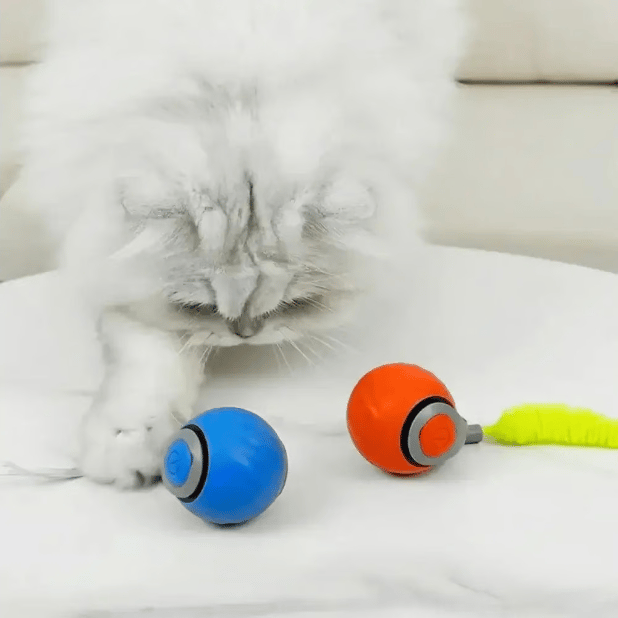 Ultimativer Spielball für Katzen - Selbst-aktivierend