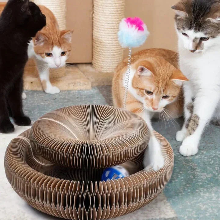 Scratchora™ - Krümelfreies transformierbares Katzenspielzeug