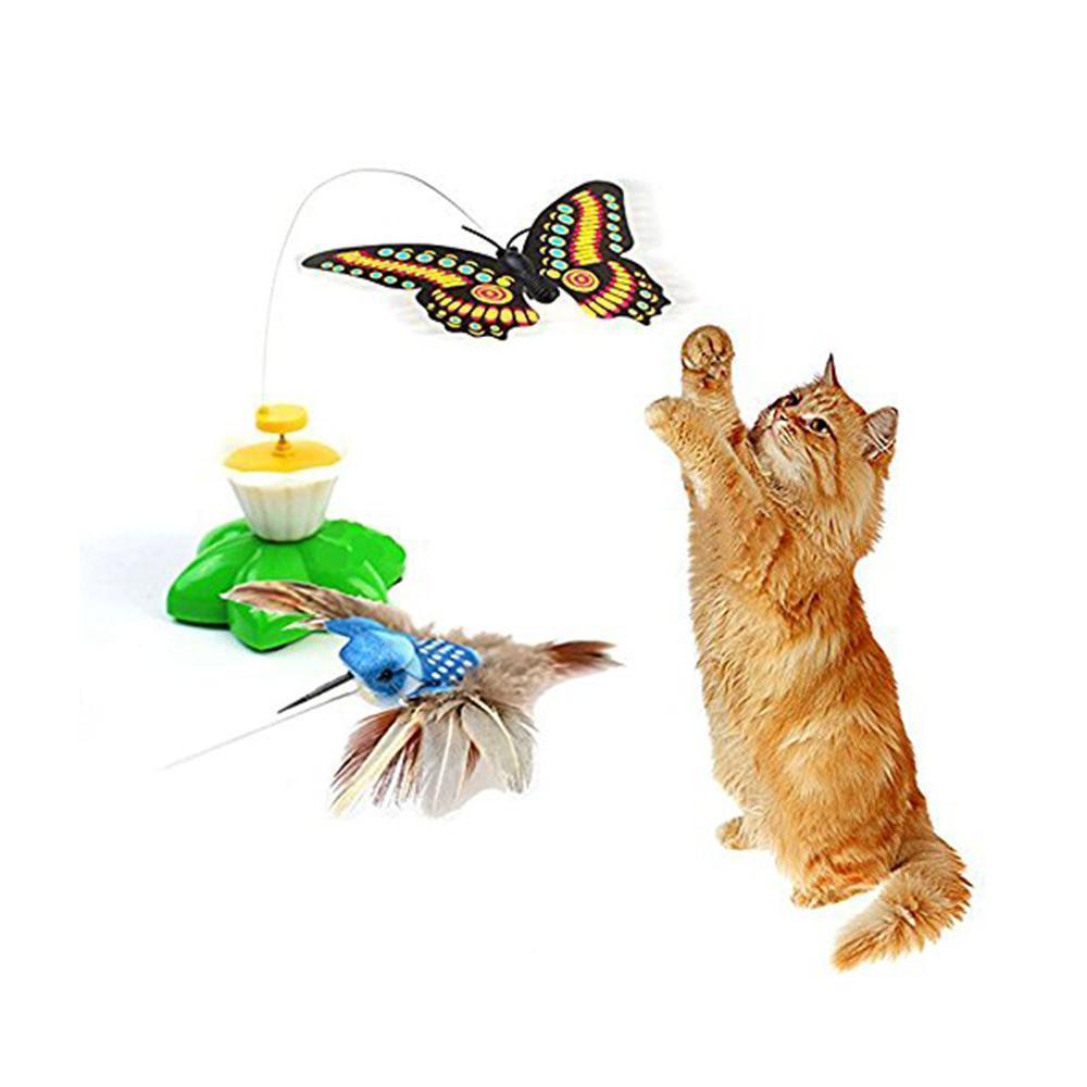 Katzenspielzeug™ - Katzen lieben von Natur aus Vögel und Schmetterlinge