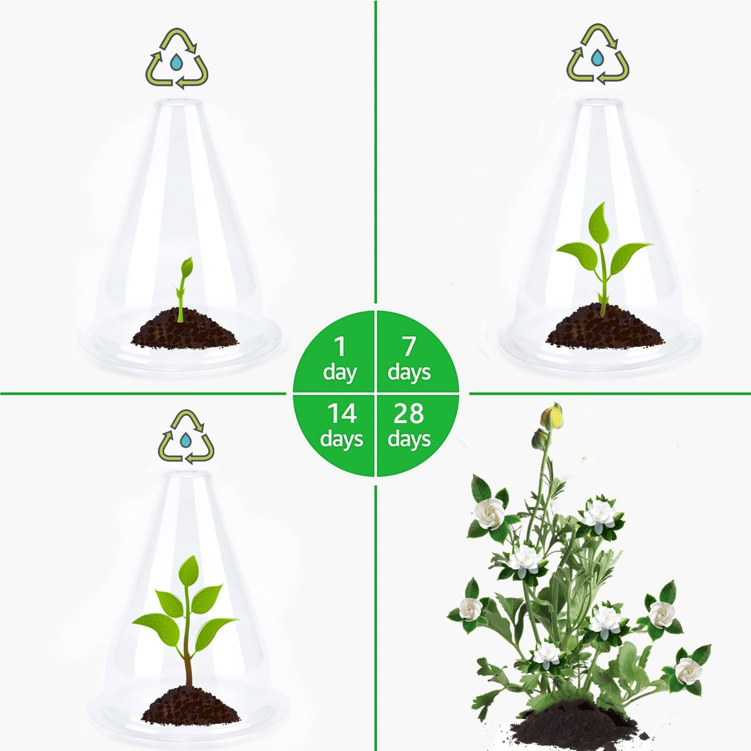 PlantShield™ - Garten-Gewächshaus-Pflanzenabdeckungen (10 Stück/Set)
