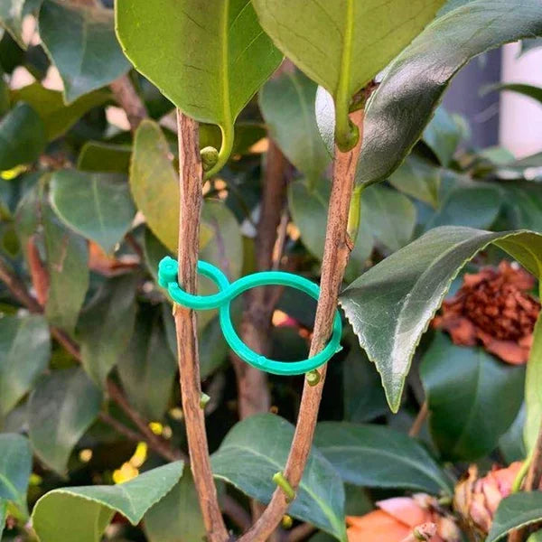 Pflanzenhalter für den Garten - Damit wachsen die Pflanzen wie Sie es wollen!