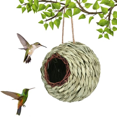 NestHaven – Biete Kolibris ein sicheres Zuhause für jedes Jahr