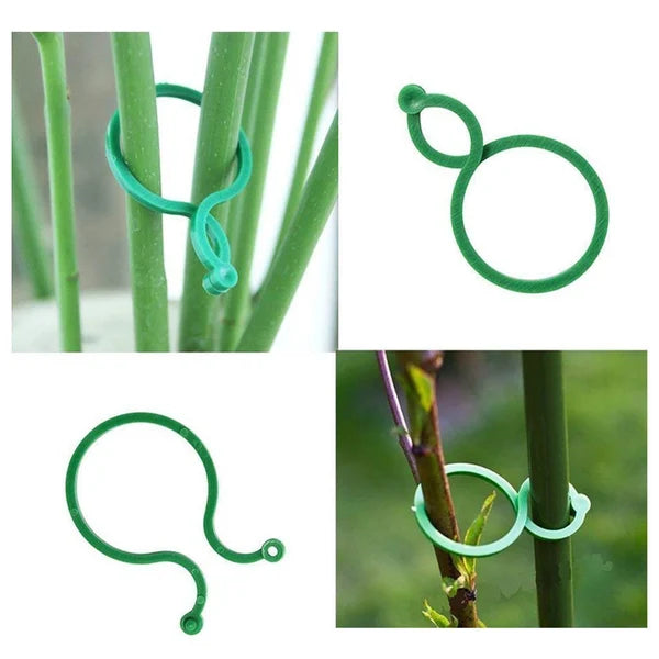 Pflanzenhalter für den Garten - Damit wachsen die Pflanzen wie Sie es wollen!