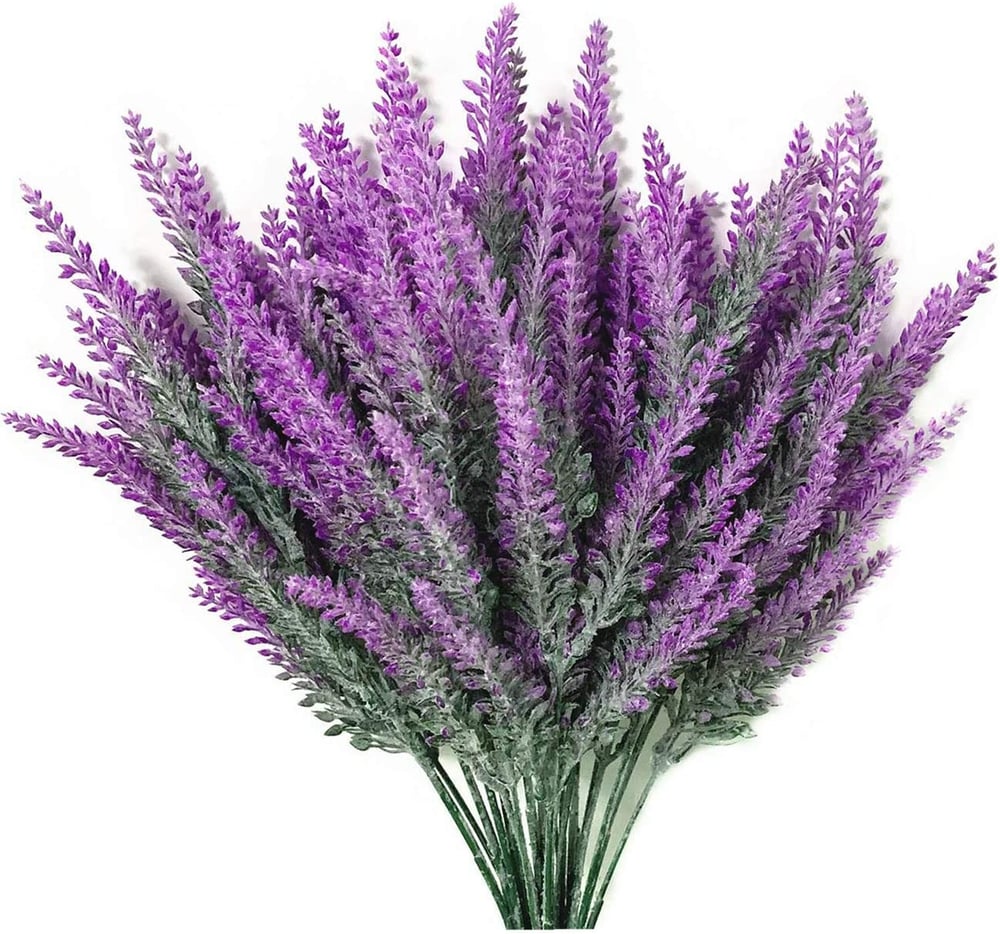 LavéaMist™ – Zeitlose Lavendel-Schönheit, die mühelos gedeiht