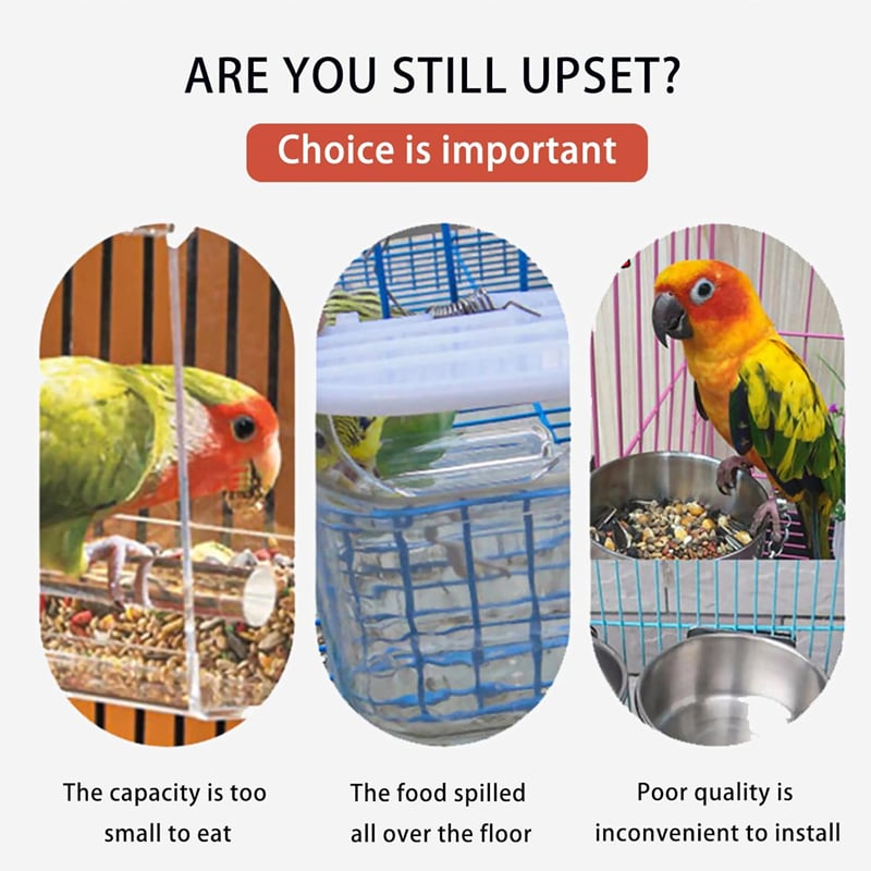 Automatischer Vogelfutterspender – Kein Schmutz, kein Stress