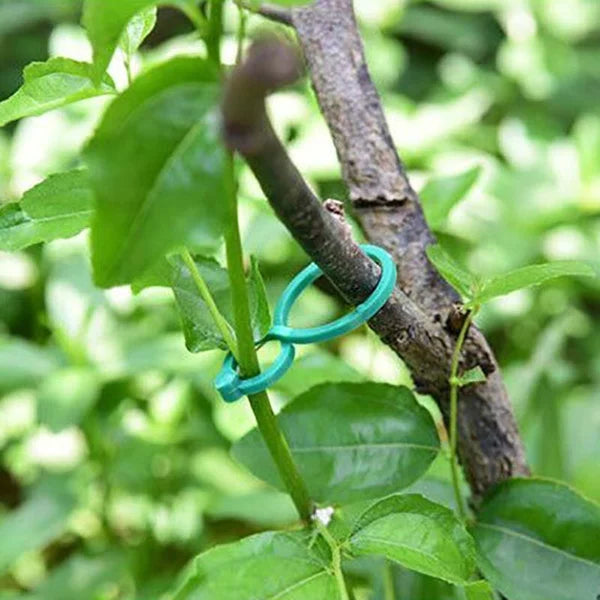 Pflanzenhalter für den Garten - Damit wachsen die Pflanzen wie Sie es wollen!