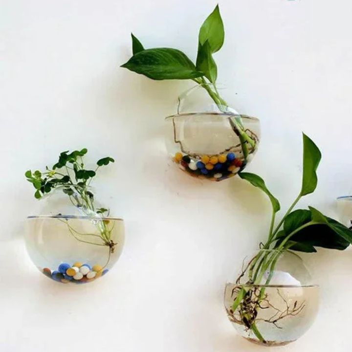 1+1 Gratis | Elegante Glas-Wandvase – Minimalistischer Pflanzenhalter