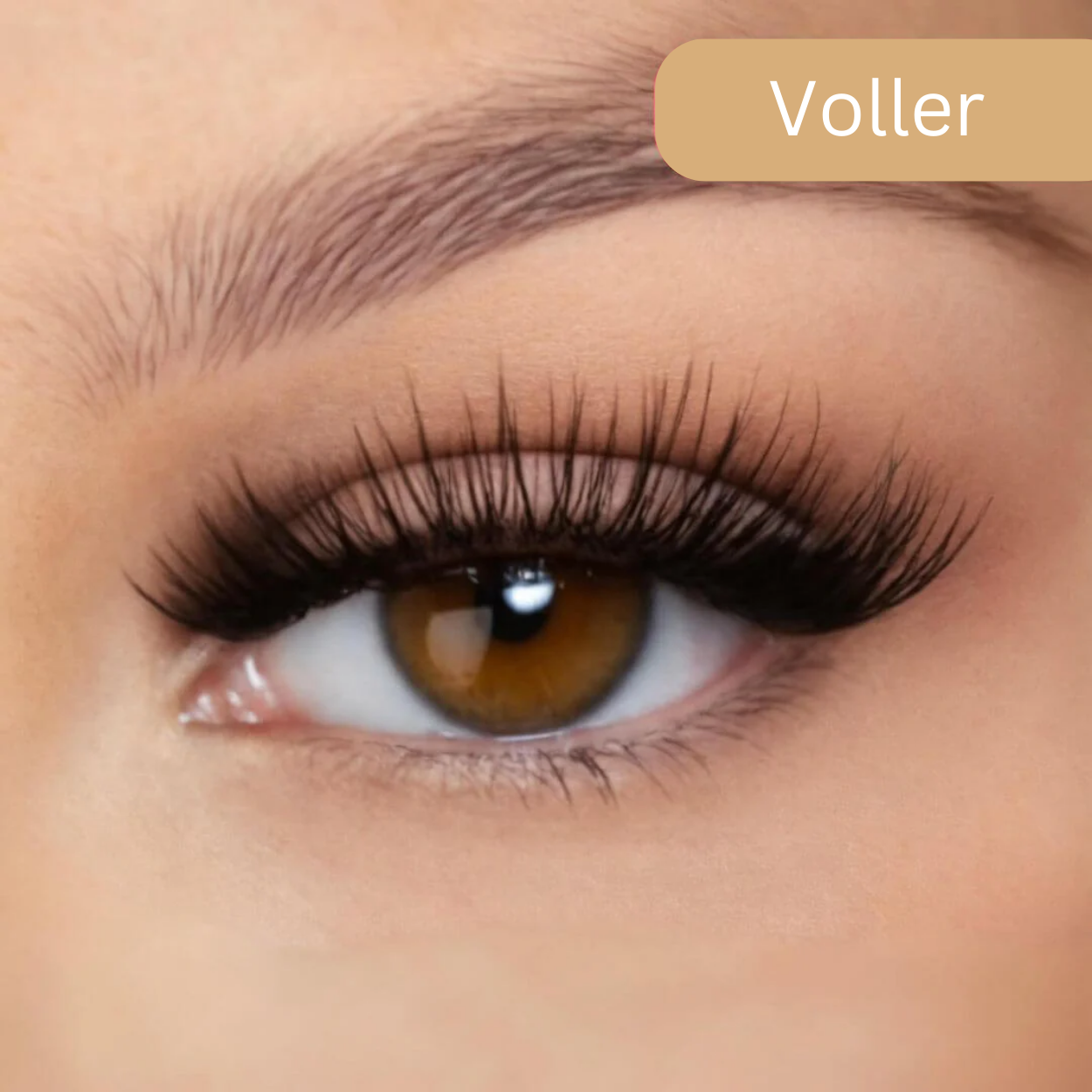 1+1 Gratis | LuxeLash™ Lang anhaltende, leicht zu tragende magnetische Wimpern