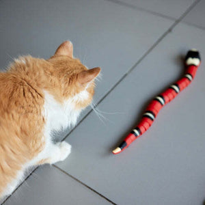 50% Rabatt | SnakeToy™ - Intelligentes Spielzeug für Katzen [Letzter Tag Rabatt]