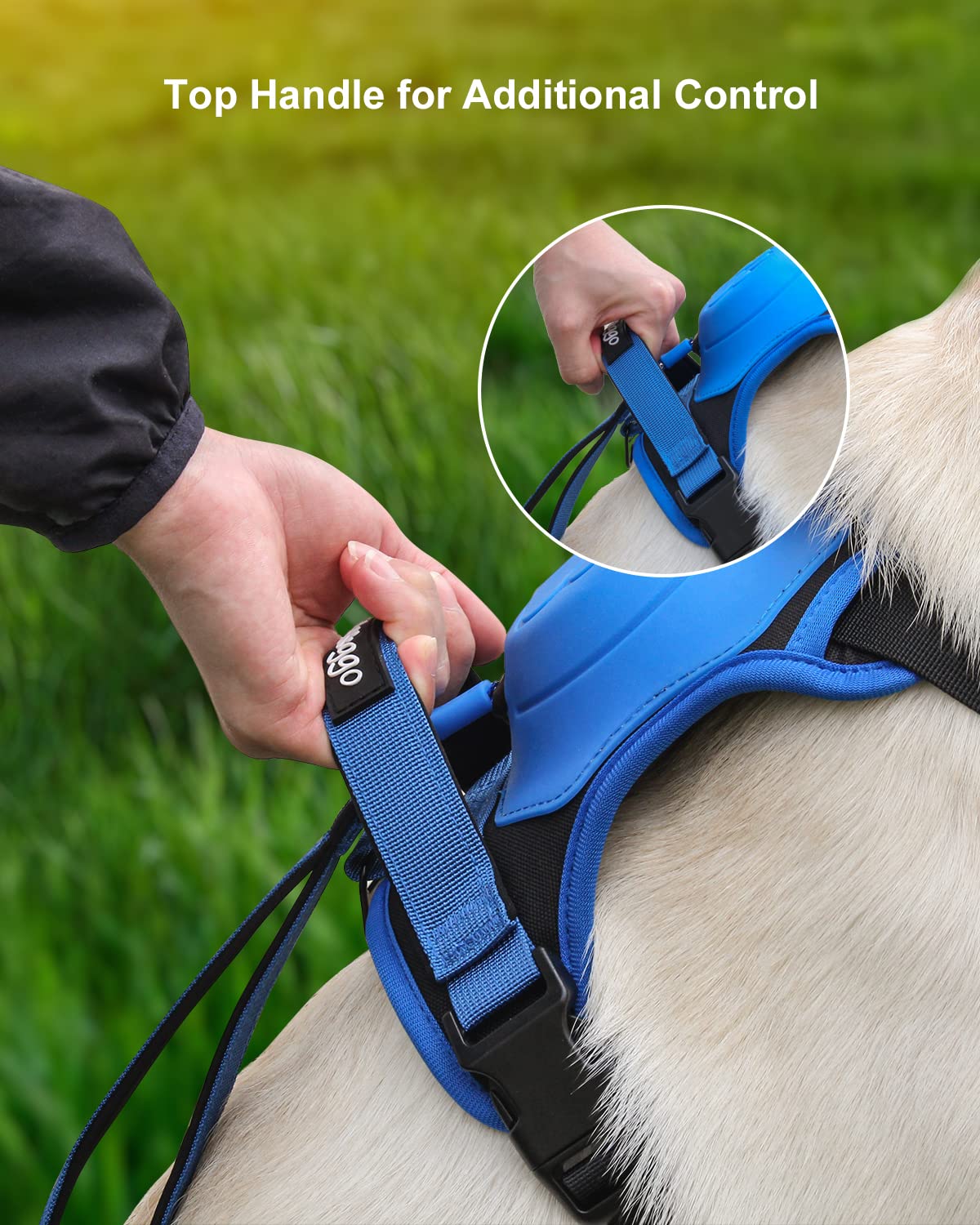 Komplettset aus Hundegeschirr und ausziehbarer Leine