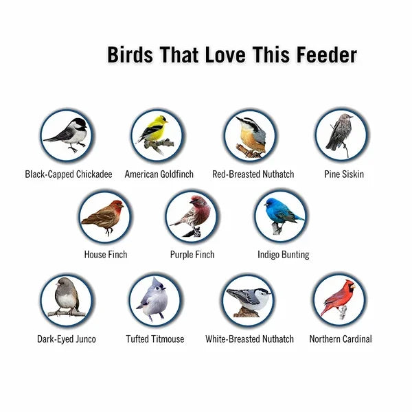 PetPerch™ - Hängender Futterschalen Eimer (50% RABATT)