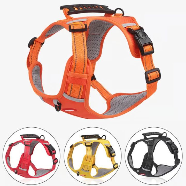 No-Pull Hundegeschirr mit Reflektierendem Nylon