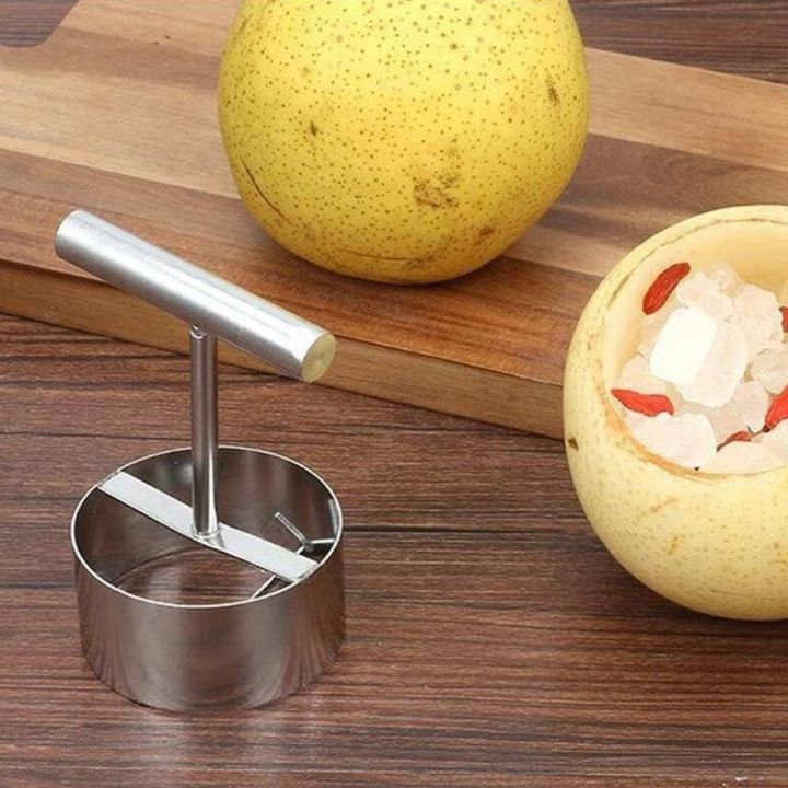 Müheloser Edelstahl-Obstentkerner | + 1 Kleine Gratis