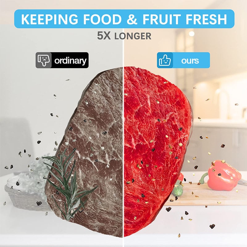 FreshNest™ – Geschmack bewahren und jede Mahlzeit frisch, aromatisch und ohne Verschwendung genießen