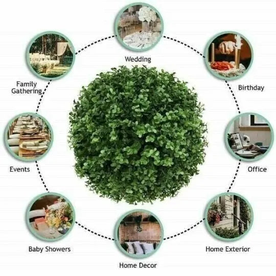 DecoPlant - Diese Pflanze ist immer grün!
