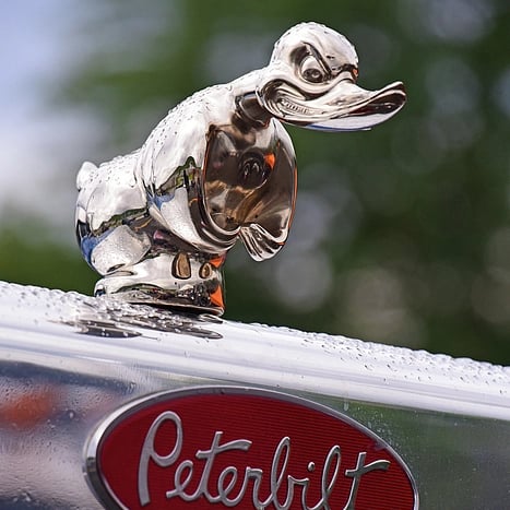 RoadRogue™ Motorhaube-Emblem — Entfache den rebellischen Geist und ziehe alle Blicke auf dich